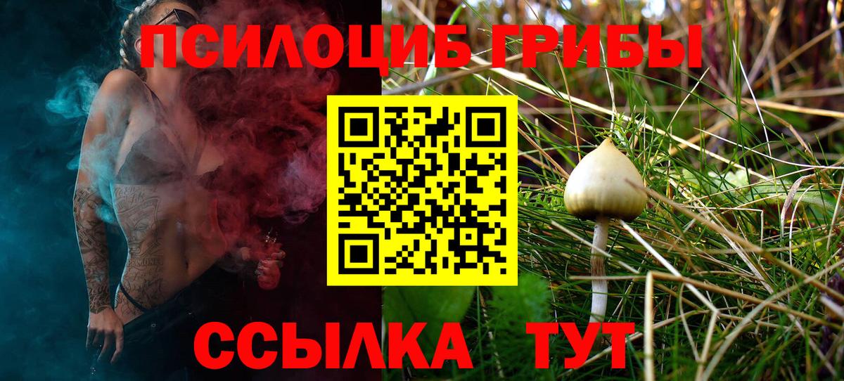 Псилоцибиновые грибы Psilocybe  Псилоцибиновые грибы мухоморы  Назрань  Вход с VPN 
